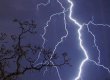 У Черкаській області 85-річний пастух вижив після удару блискавки