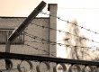 Суддя, що стріляв у родичів з автомата, отримав 8 років
