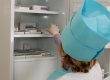 Минздрав начал закупки вакцин: фирма сына Богатыревой получила контракт на 11 млн грн