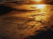 Британские ученые обнаружили аналог социальной сети у первобытных людей
