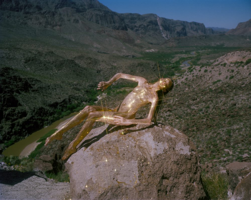 Фото:&nbsp;facebook.com/Synchrodogs