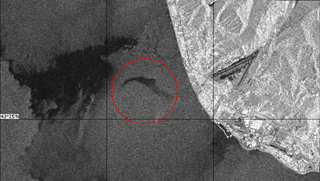 Спутниковый снимок места крушения Ту-154. Фото: &copy; ESA/Институт космических исследований РАН