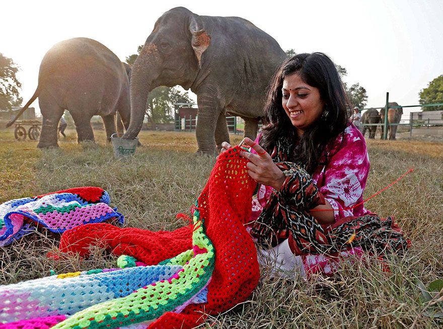 На создание одной 