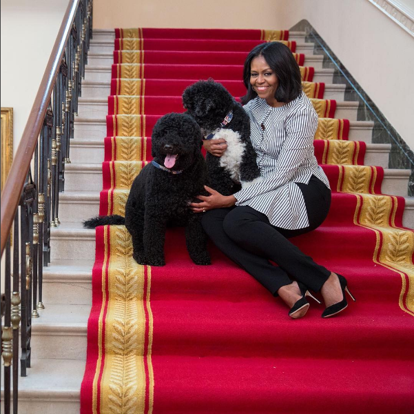 Экс-первая семья не оставит домашних питомцев. Фото: @ michelleobama44  