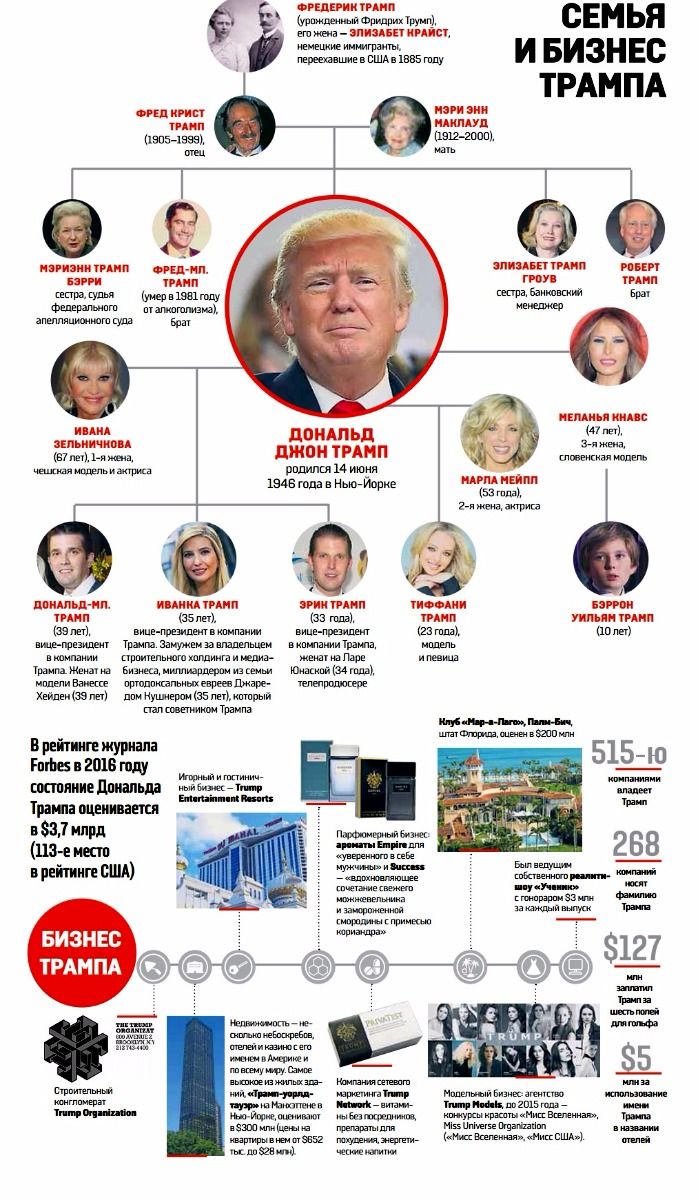 Инфографика по семье и бизнесу Трампа. Фото: vesti-ukr.com
