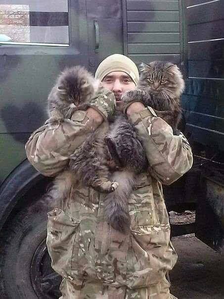 Пушистые бандеровцы. Фото: facebook.com/UkrayinskyyKontent