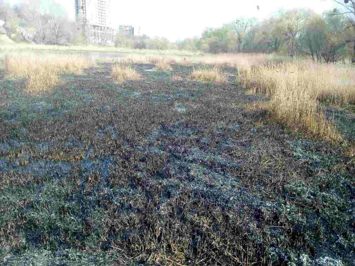 Фото: kyiv.dsns.gov.ua