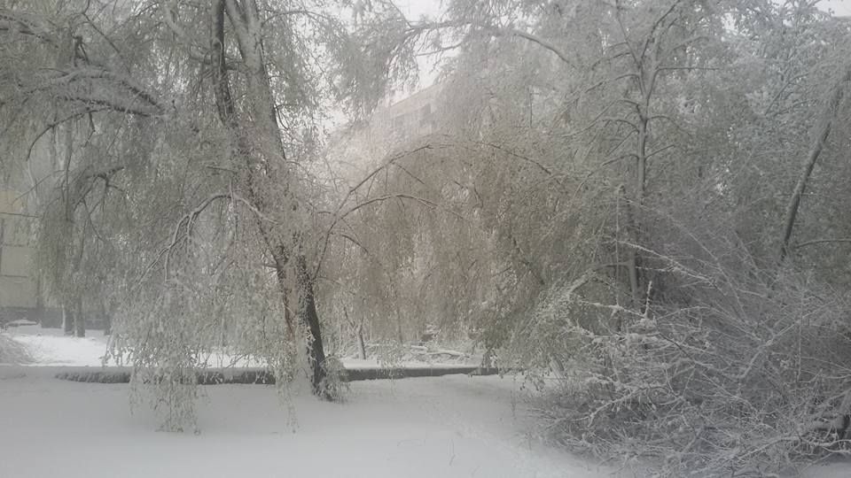 Дніпро повернулася справжня зима. Фото: Facebook/Elena Kolyada