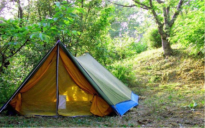Багато українців на вихідні вибираються на відпочинок до лісу. Фото: relax.com.ua