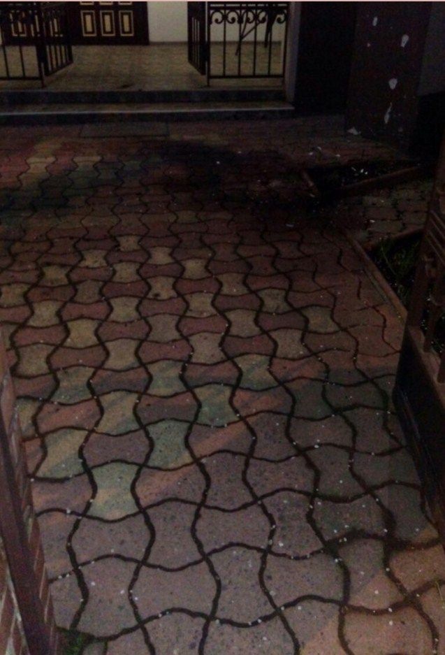 В результате происшествия никто не пострадал.