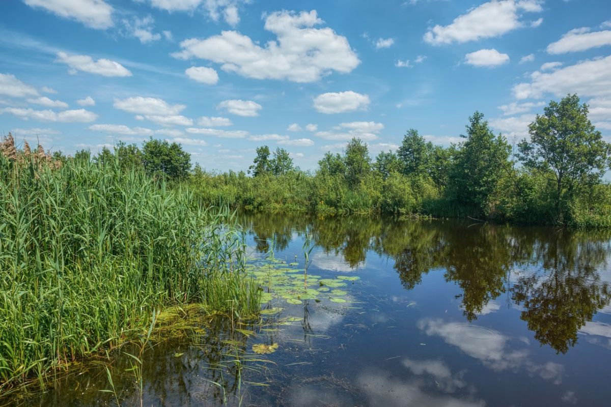 Фото: tourism.volyn.ua