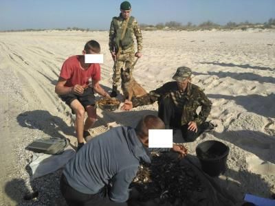 Крабов пересчитали и выпустили в море. Фото: dpsu.gov.ua
