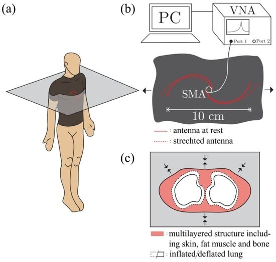 Фото:Philippe Guay et al., Sensors, 2017