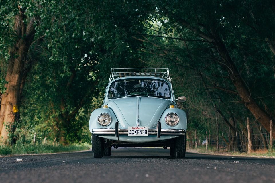 Фото: pixabay.com