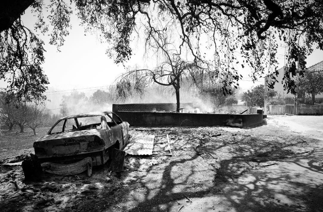 Фото: @dianatinoco.foto