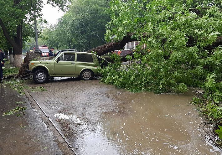Повалило деревья и затопило улицы. Фото: dsns.gov.ua