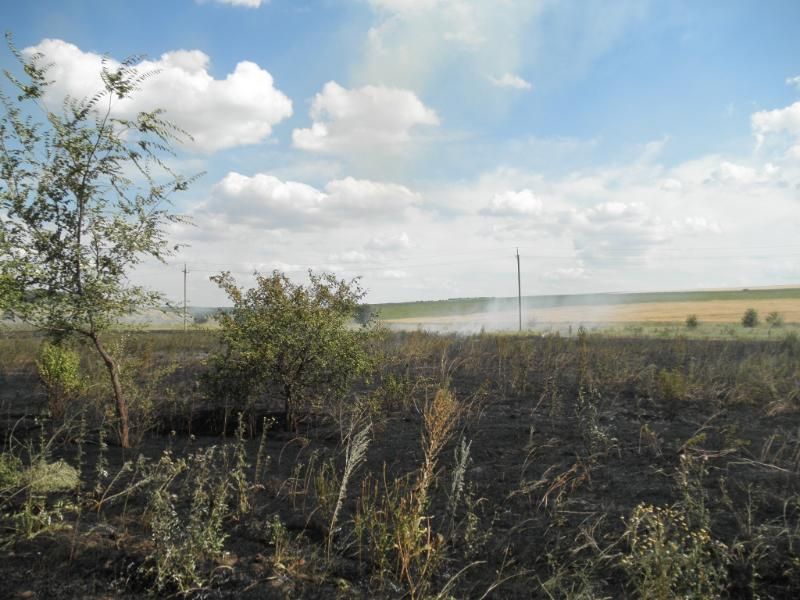 Фото: dsns.gov.ua
