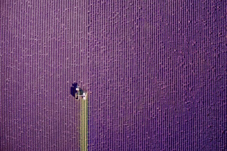 1 место. фото: dronestagr.am