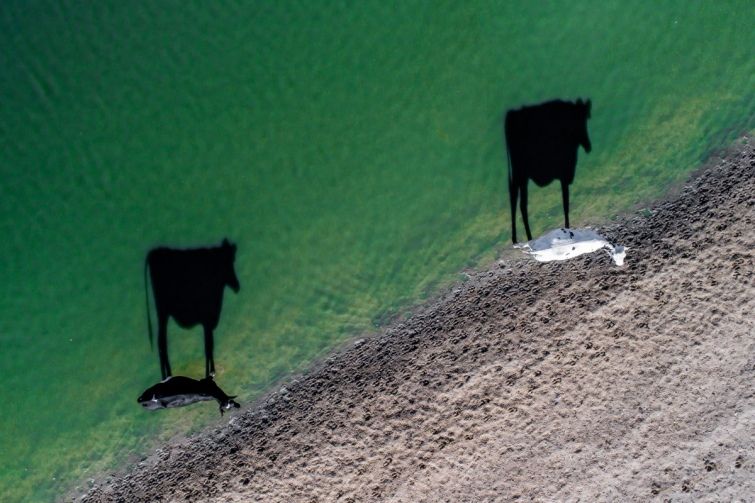 1 место. фото: dronestagr.am
