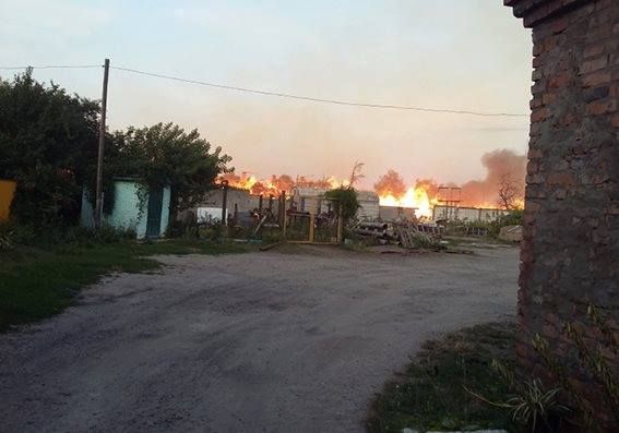 В Хмельницкой области горела конопля. Фото: facebook.com/UA.National.Police