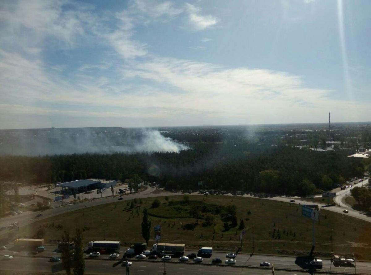 Горить ліс в Києві. Фото: fakty.ictv.ua