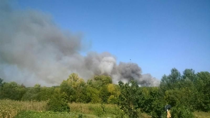 Поширенню вогню сприяє вітряна погода. Фото: dsns.gov.ua