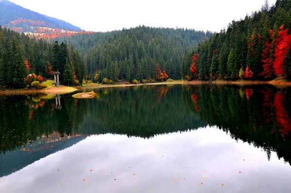 Фото: podrobnosti.ua