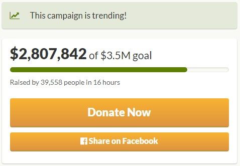 Скриншот: gofundme.com