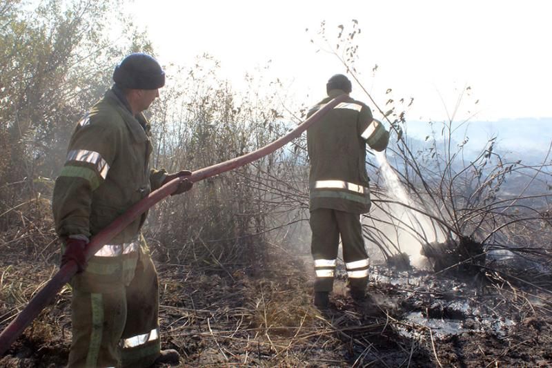 Фото: dsns.gov.ua