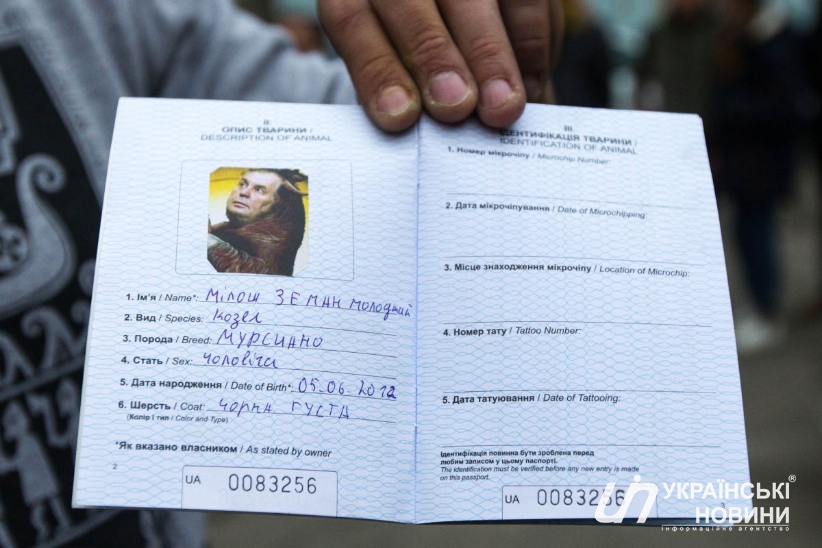 У козла знайшли навіть паспорт з докладними даними про тварина