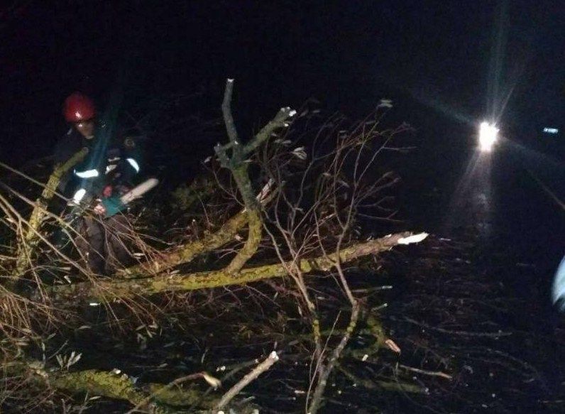 Несколько дней назад резко ухудшились погодные условия на Закарпатье. Фото: dsns.gov.ua