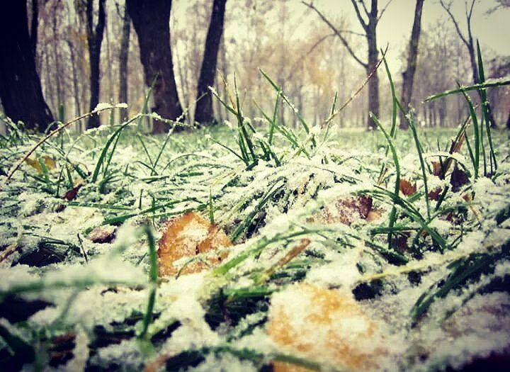 Фото: facebook.com/Руся Культюшнова