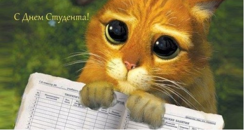 Фото: ellarossa.yoyo.pl
