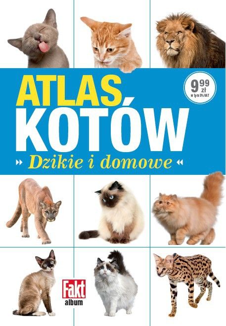 Книга про диких і домашніх котів. Фото: literia.pl