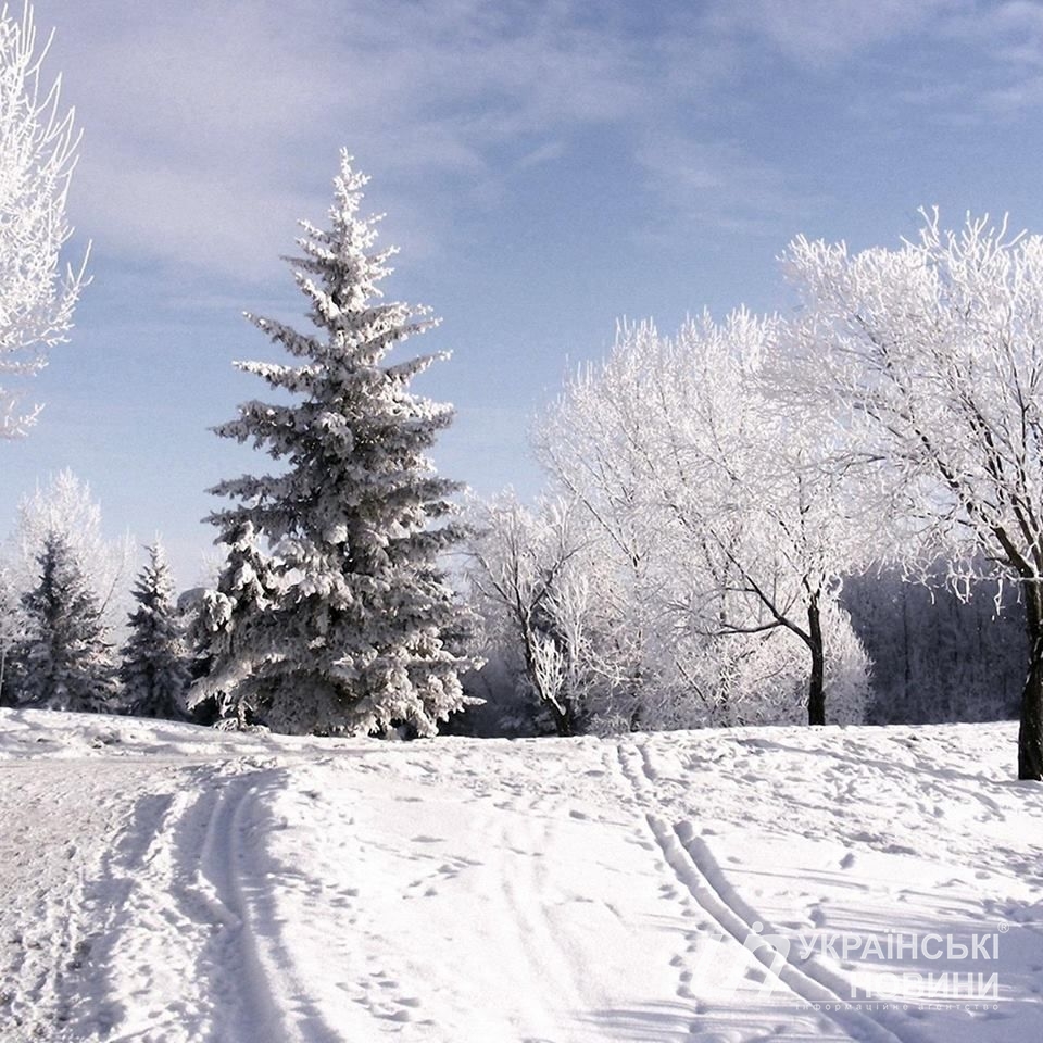 Її вік - майже 100 років. Фото: facebook.com/Folk_Ukraine
