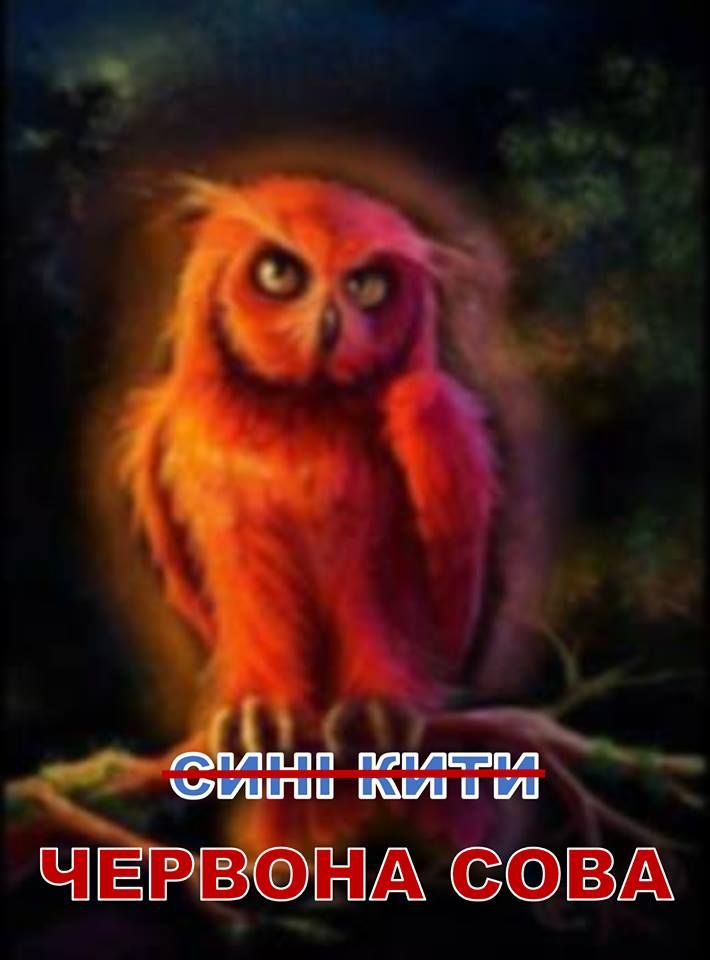В Україні набирає обороти нова суїцидальна гра. Фото: facebook.com/up.z.prav.dytyny