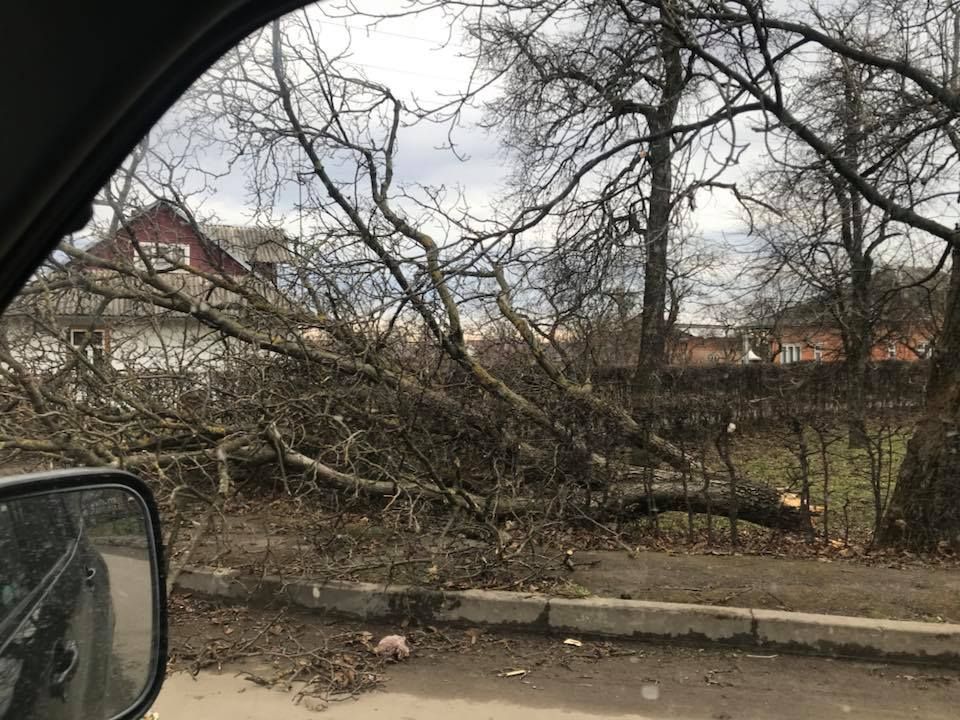 В Івано-Франківській області сильний вітер зірвав дахи та повалив дерева. Фото: new.firtka.if.ua