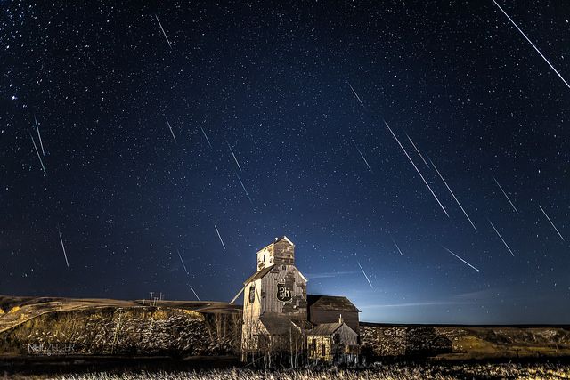 Центральная Альберта (Канада). Фото: flickr.com/Neil Zeller