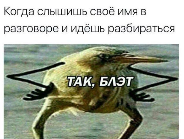 Пташка з руками, яку досі плутають з ківі, з'явилася в травні 2017 року в пабликах в соцмережах