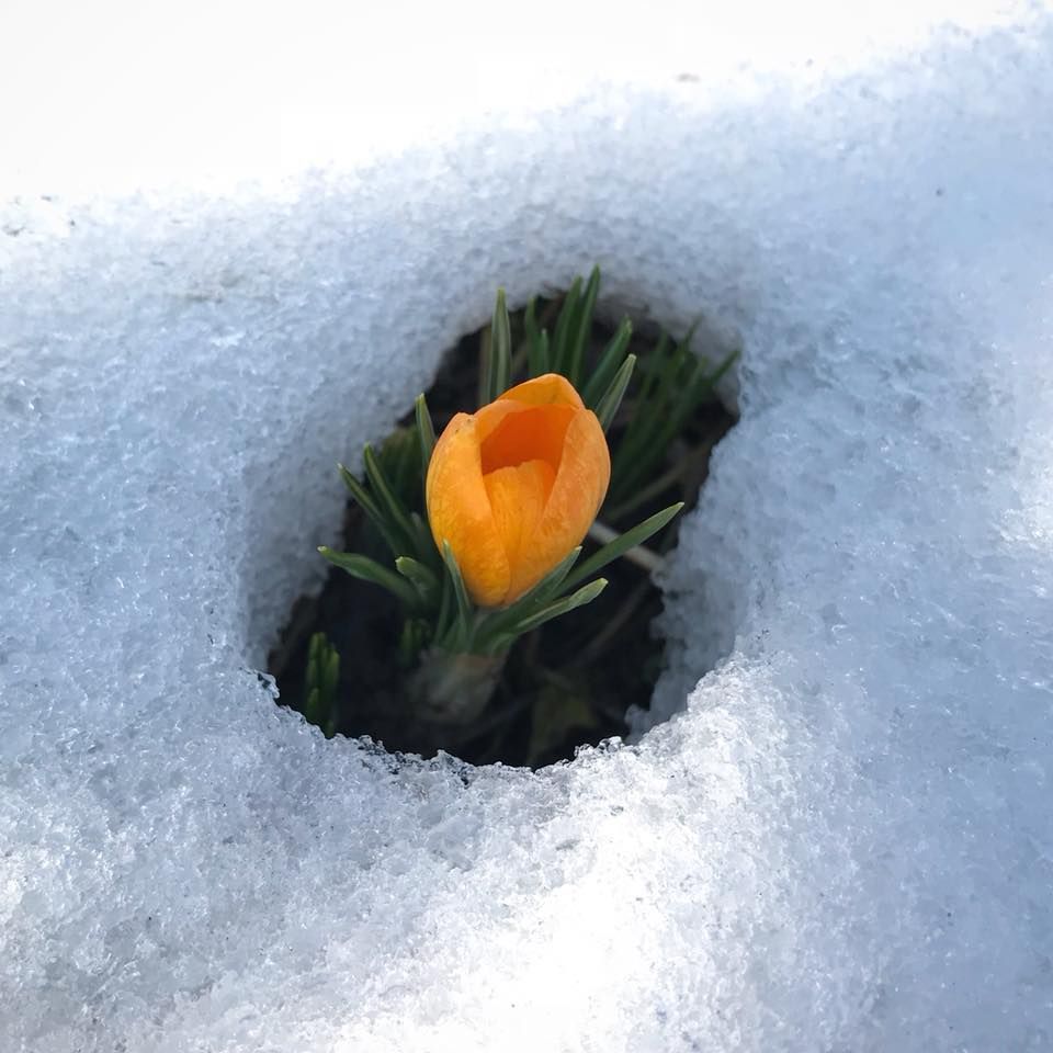Фото: facebook.cоm/ Иванна Горковчук