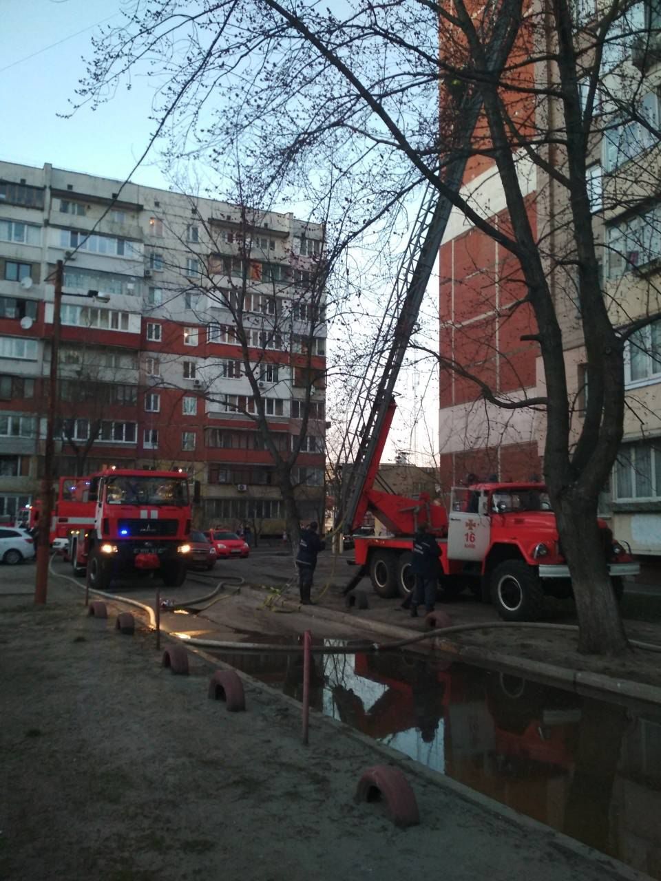 Причины пожара устанавливаются. Фото: kyiv.dsns.gov.ua