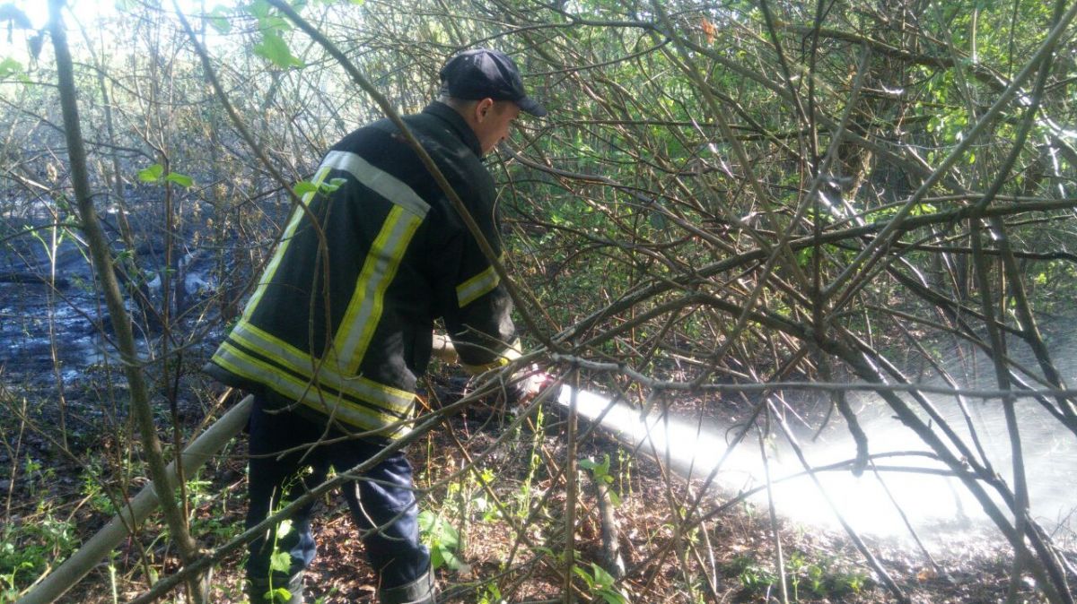 Трава на Трухановом загорелась на 3 гектарах. Фото: kyiv.dsns.gov.ua