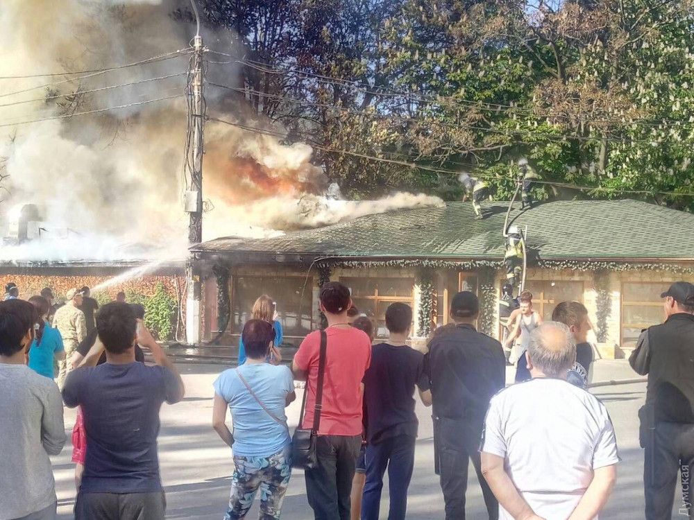 Пожежа у центральному парку Одеси. Фото: 