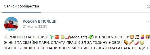 Объявление размещено в соцсетях на разных сайтах, им также делятся украинские посредники. Фото: vk.com

