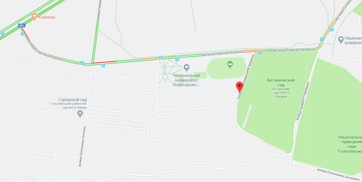 Скріншот google/maps