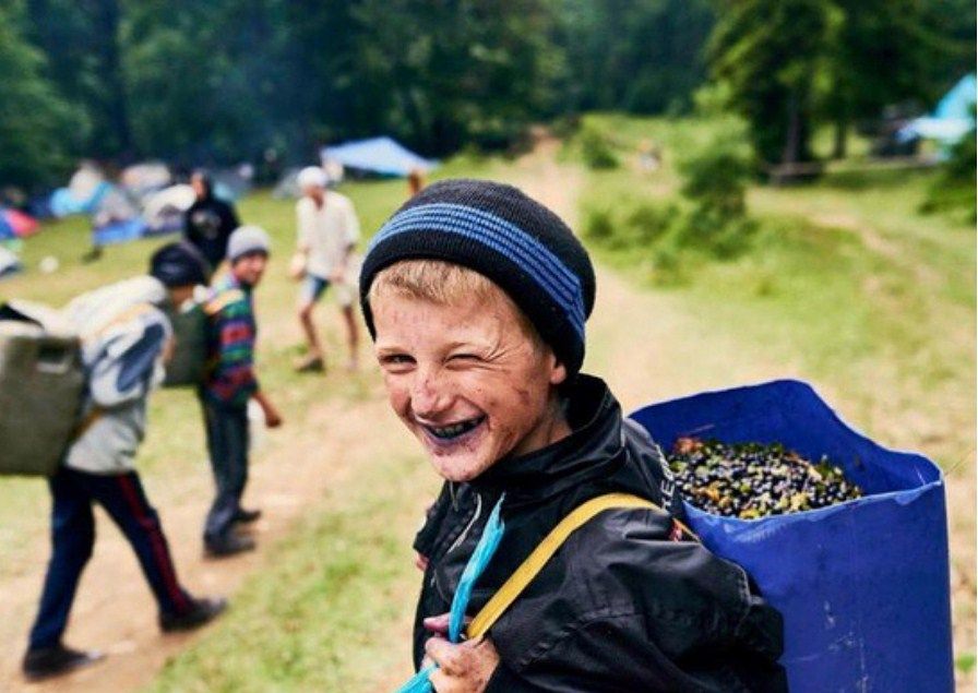 Сезон сбора черники в самом разгаре. Фото: instagram.com