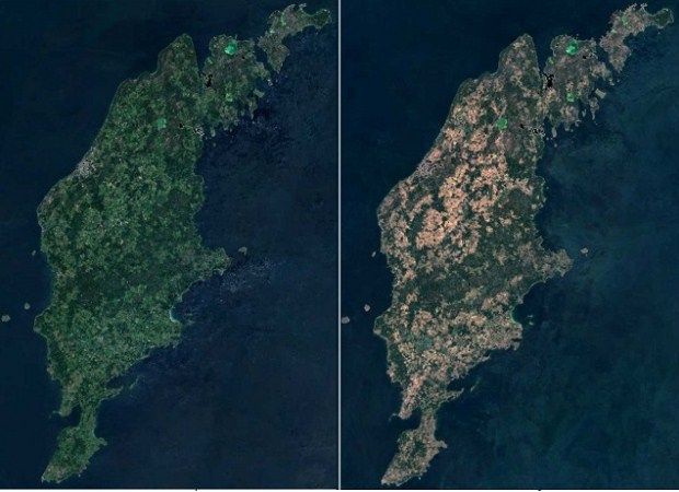 Остров Готланд в 2017 (слева) и 2018 (справа) годах


