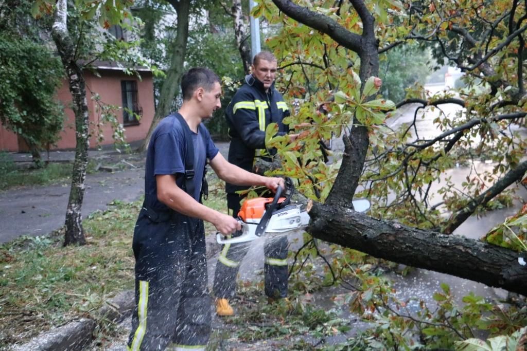 Спасателям пришлось разбирать поваленные деревья. Фото: kyiv.dsns.gov.ua