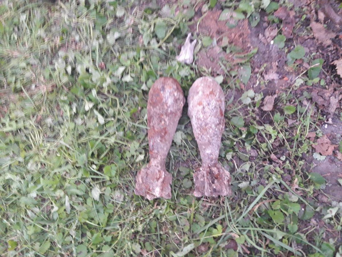 Боеприпасы были обнаружены во время земляных работ, около жилых домов. Фото: ГосЧС