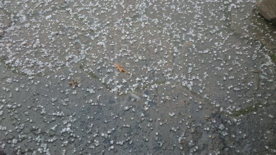 Град выпал размеров с перепелиное яйцо. Фото: tvnmeteo.tvn24